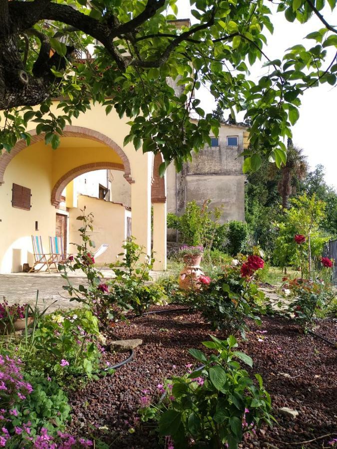 Da Vinci Sweet Castiglion Fibocchi